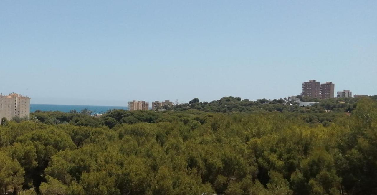 Campoamor Seaview 外观 照片