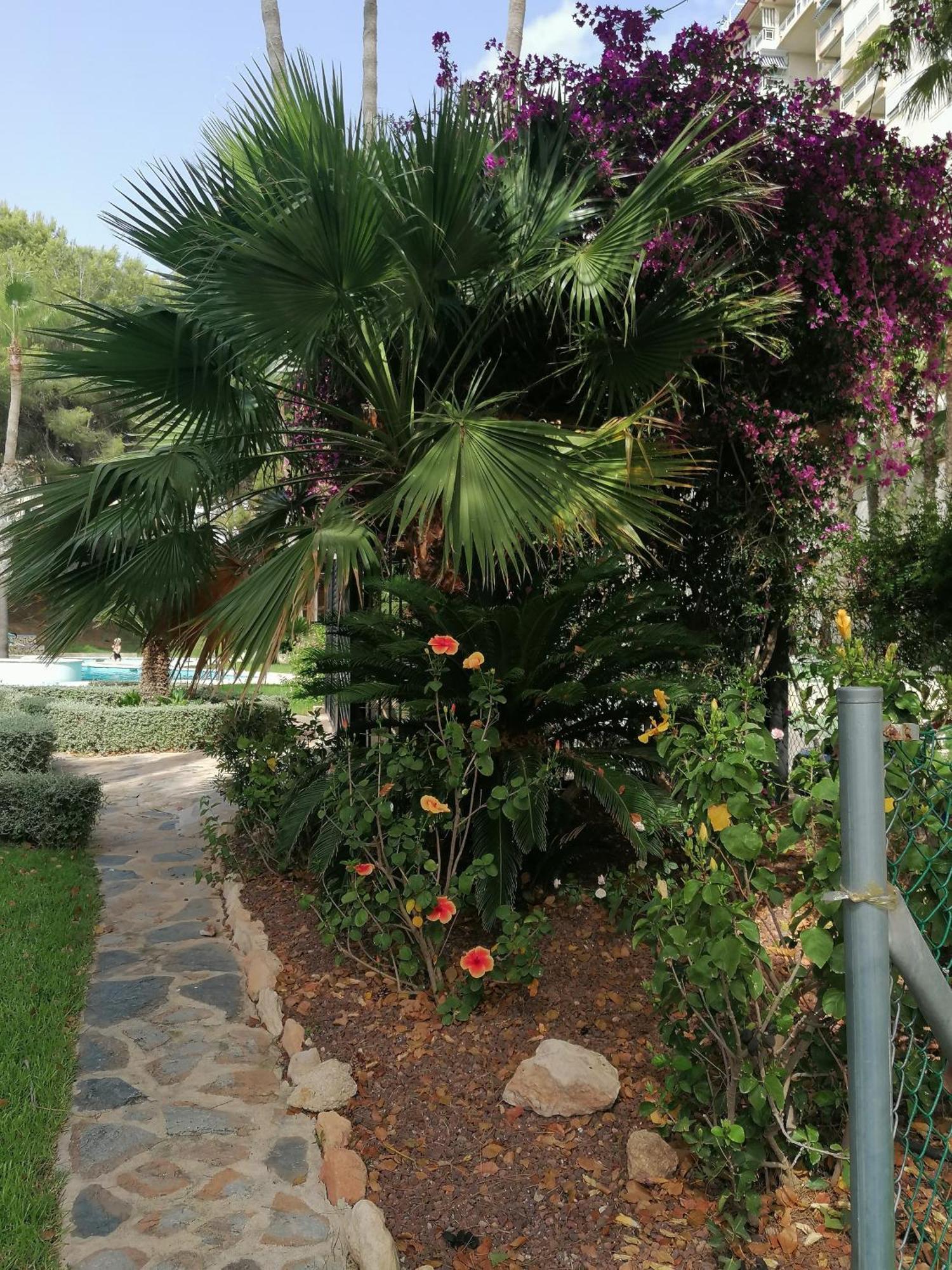 Campoamor Seaview 外观 照片